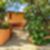 32ª imagem do imóvel