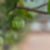 65ª imagem do imóvel