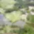 12ª imagem do imóvel