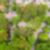26ª imagem do imóvel