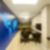 28ª imagem do imóvel