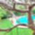 11ª imagem do imóvel