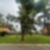 4ª imagem do imóvel