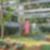 28ª imagem do imóvel