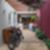 71ª imagem do imóvel