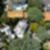 59ª imagem do imóvel