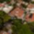 9ª imagem do imóvel