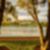 28ª imagem do imóvel