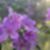 54ª imagem do imóvel