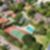 48ª imagem do imóvel