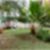 29ª imagem do imóvel