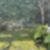 12ª imagem do imóvel