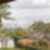 10ª imagem do imóvel