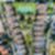 23ª imagem do imóvel