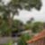 34ª imagem do imóvel