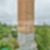 14ª imagem do imóvel