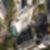 104ª imagem do imóvel