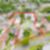 23ª imagem do imóvel