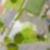 25ª imagem do imóvel