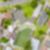 14ª imagem do imóvel