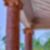 11ª imagem do imóvel