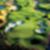 13ª imagem do imóvel