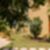 45ª imagem do imóvel
