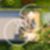 12ª imagem do imóvel