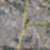 46ª imagem do imóvel