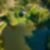 87ª imagem do imóvel