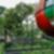 76ª imagem do imóvel