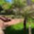 33ª imagem do imóvel
