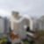 20ª imagem do imóvel