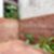 41ª imagem do imóvel