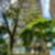 53ª imagem do imóvel