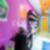38ª imagem do imóvel