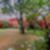 38ª imagem do imóvel