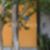 23ª imagem do imóvel