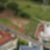10ª imagem do imóvel
