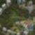 25ª imagem do imóvel