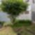 10ª imagem do imóvel