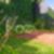 41ª imagem do imóvel