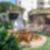 42ª imagem do imóvel