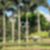 11ª imagem do imóvel