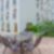 10ª imagem do imóvel