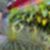 29ª imagem do imóvel