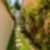 64ª imagem do imóvel