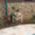 21ª imagem do imóvel