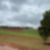 12ª imagem do imóvel