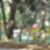 19ª imagem do imóvel